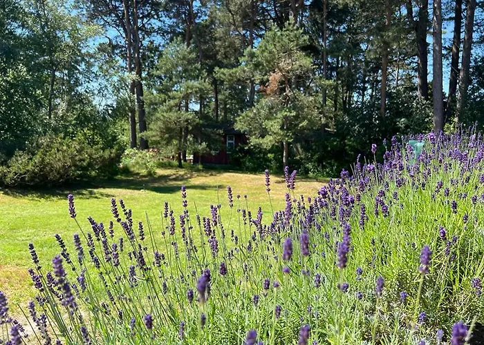 Ferienhaus Med Vandudsigt Bøtø By